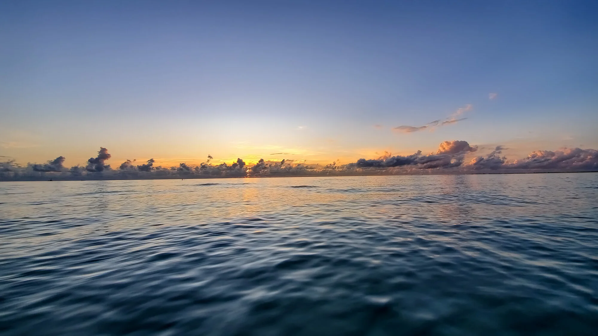 sunset miami beach w hotel art basel.jpg