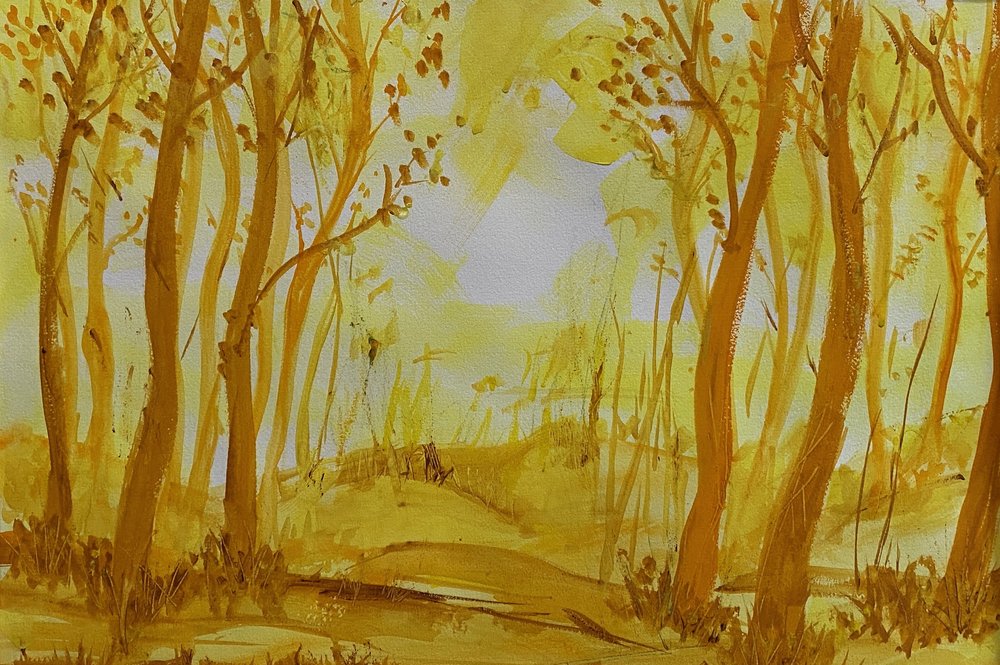 2022 Oct Yellow woods.jpeg