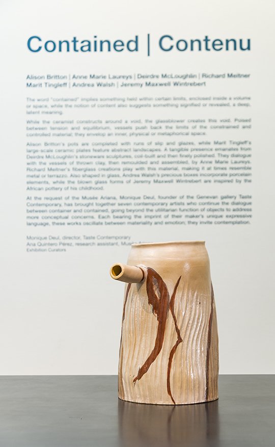 Installation Image Contained Exhibition at Museum Ariana, Geneva 2018