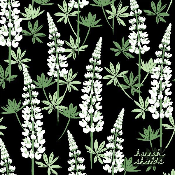 Maine lupine pattern 🌿⁠⠀
.⁠⠀
.⁠⠀
.⁠⠀
#spoonflower #printandpattern #patterndesign #fabricdesign #textiledesign #adobeillustrator #artlicensing #printdesign #surfacepattern #lupines #patternobserver #seamlesspattern #repeatpattern