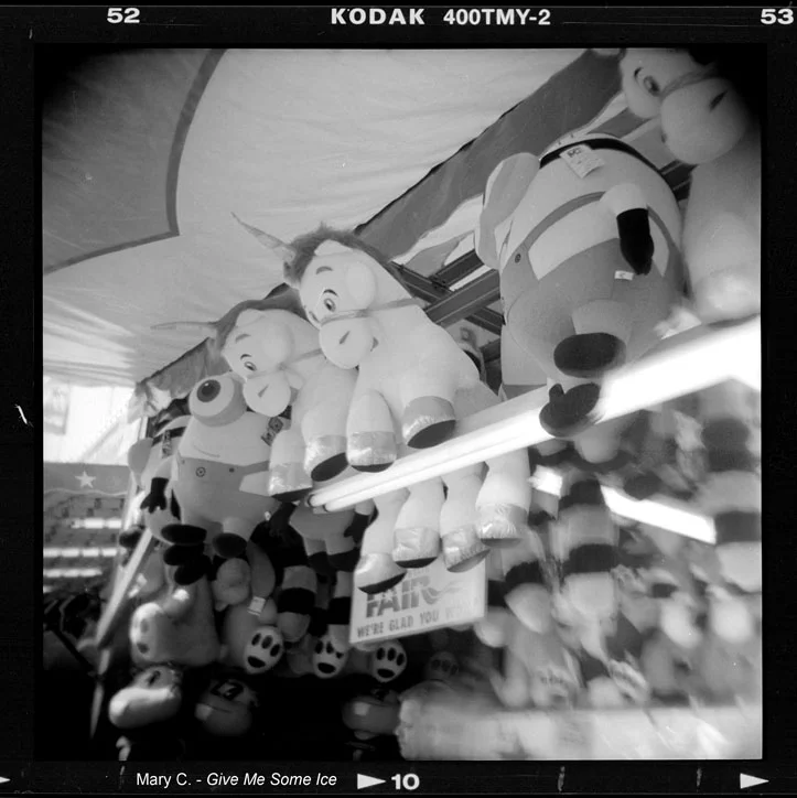 Camera1_10.jpg