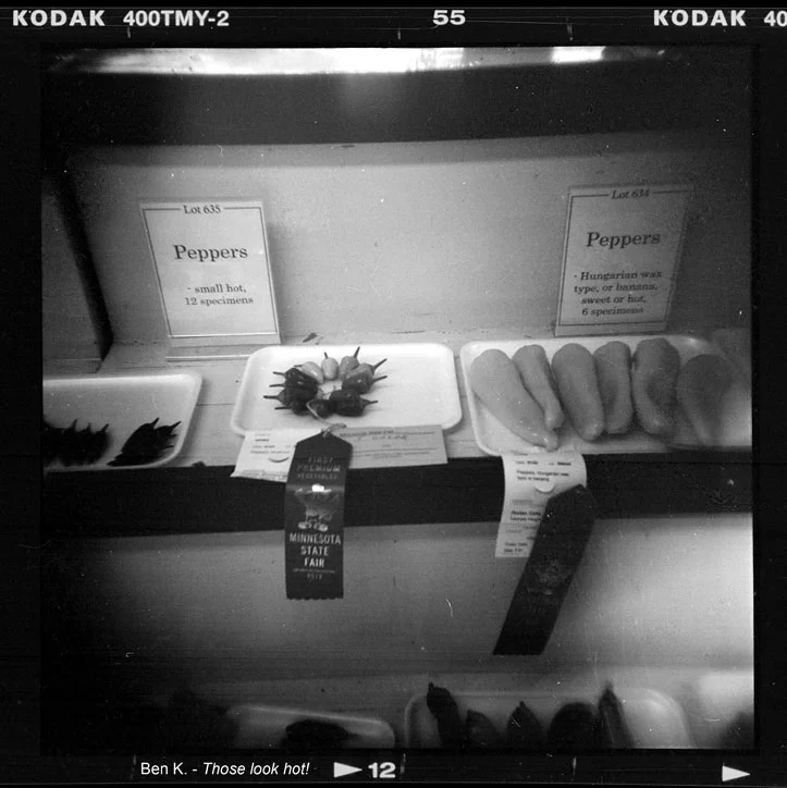 Camera1_12.jpg