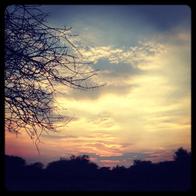 A beautiful African sunset. Peaceful and hopeful.