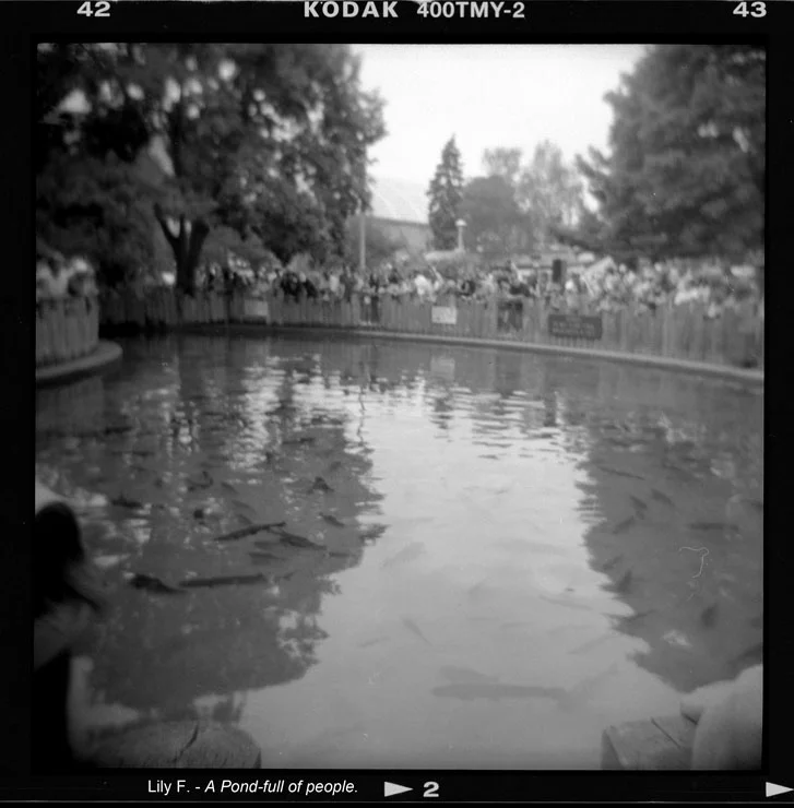 Camera6_2.jpg