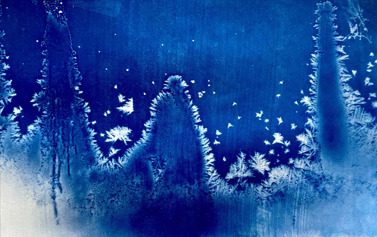 Image 10-10-22 at 10.18 AM.JPG