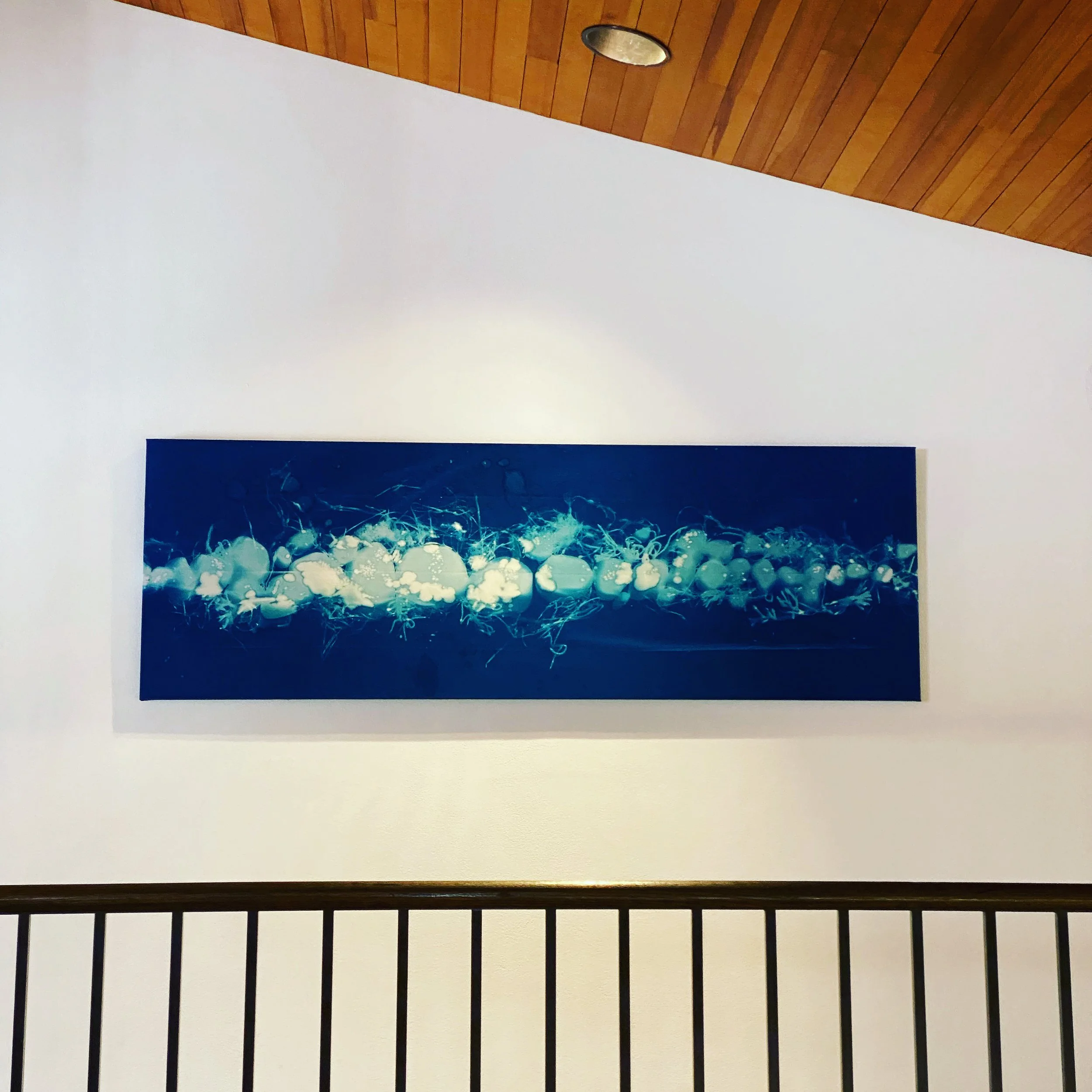 Sea-Change (ReOrdered/ Barges Beach, Cuttyhunk Island, MA)