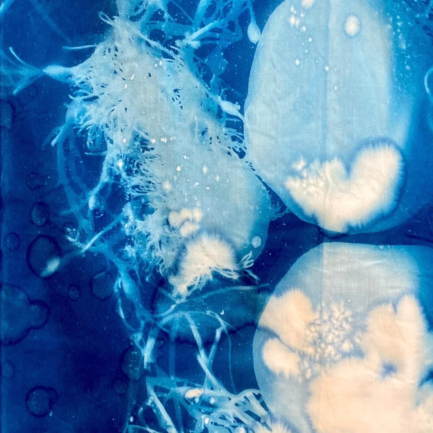 64CD1E6A-C334-4430-909E-81016483A95C 2.JPG