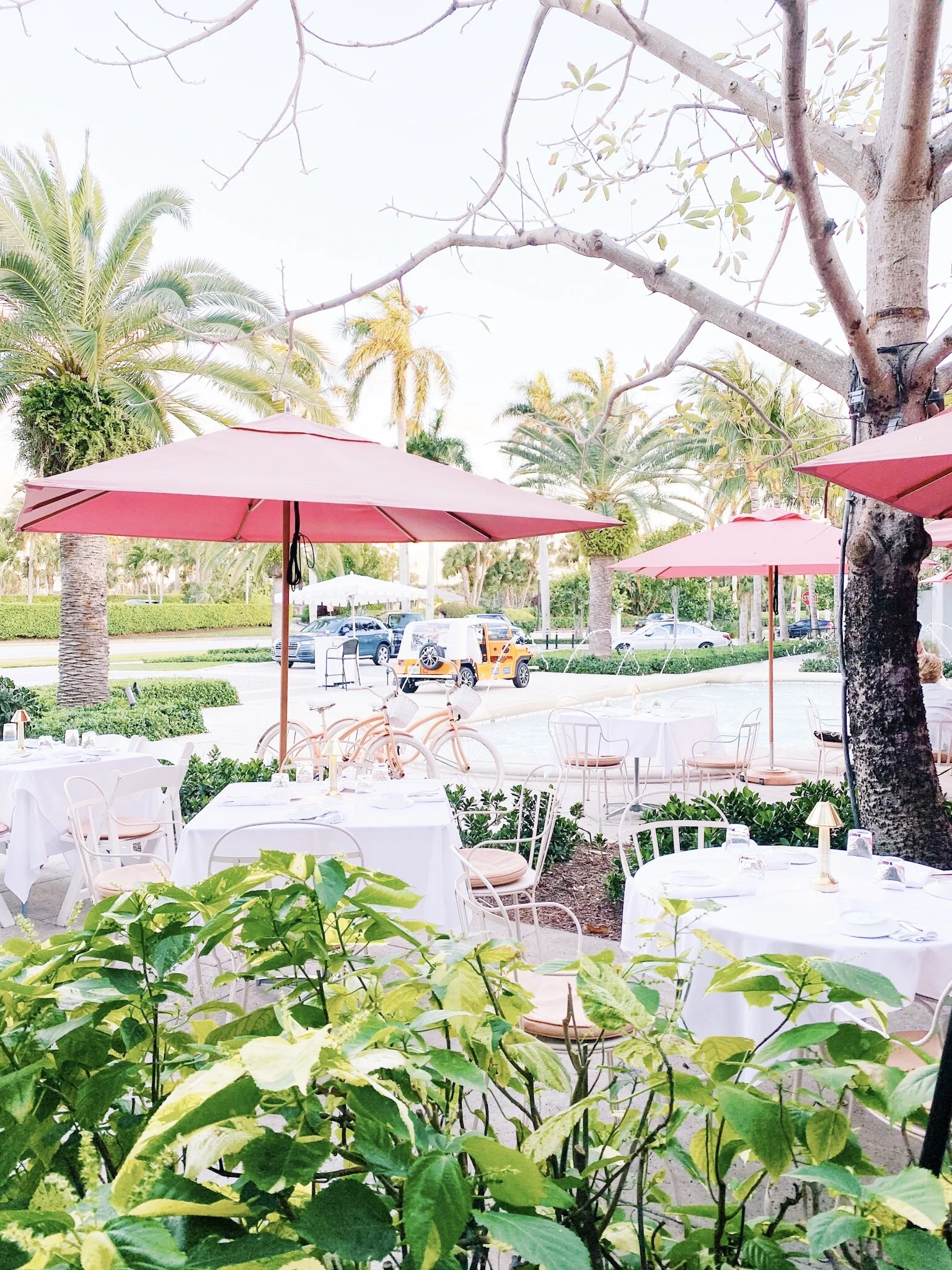 Get Wallpaper Lcb Style Travel Guide To Palm Beach Florida Lcb Style For Android