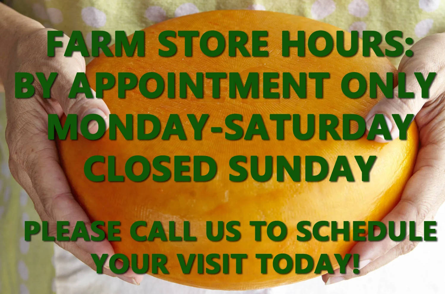 Contact Us — Dayspring Dairy, Sheep Milk Cheese & Caramel