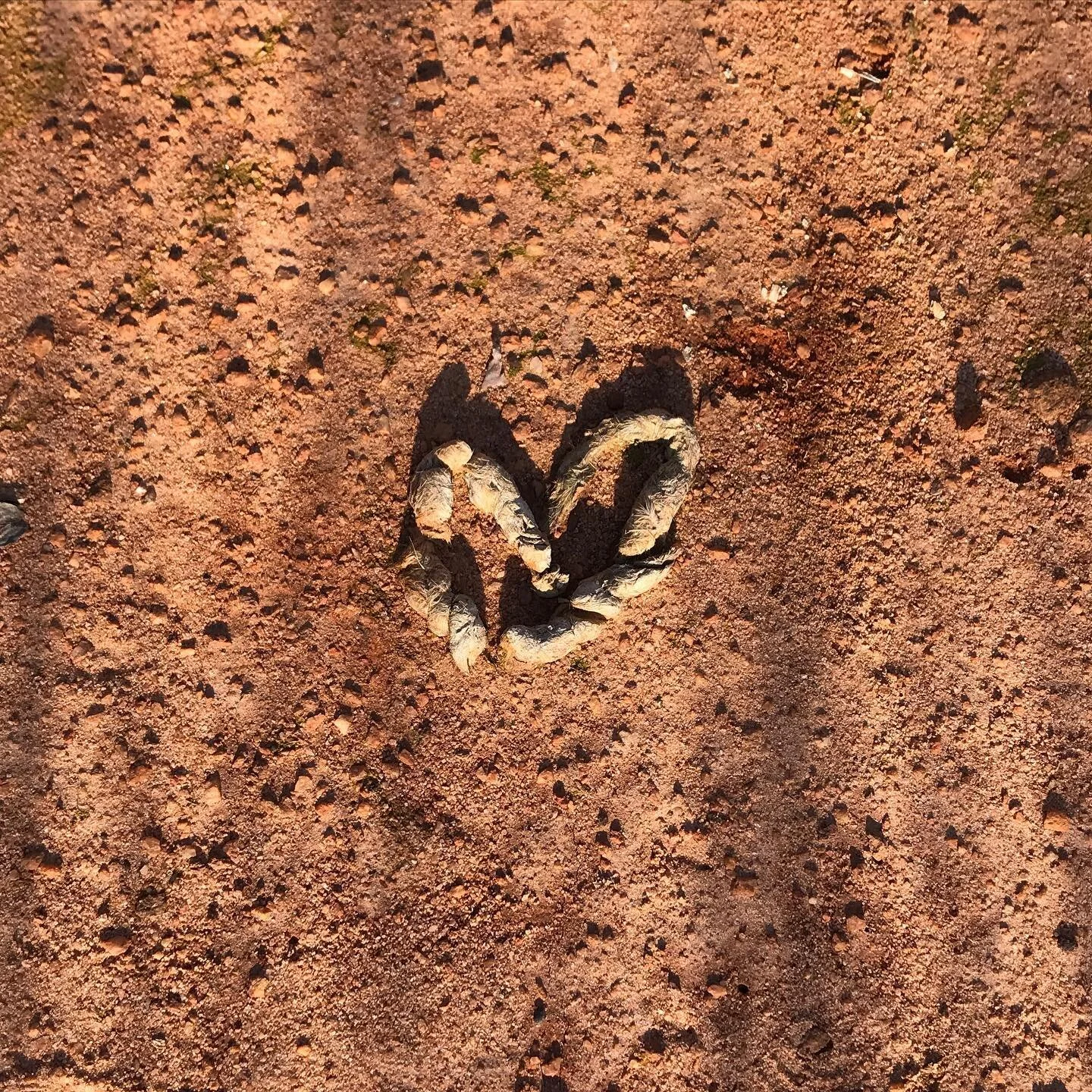 Happy Valentine&rsquo;s Day! Hope it&rsquo;s sweet as shit!