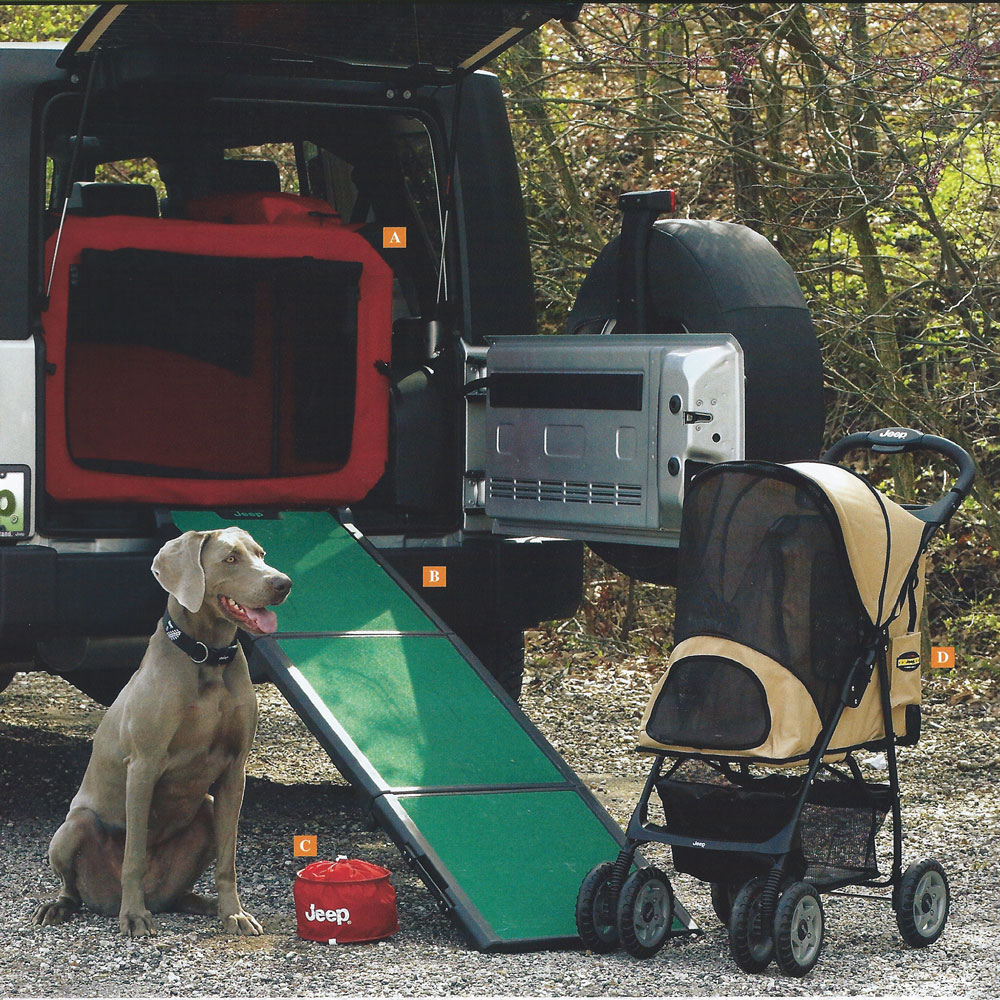 jeep_1.jpg