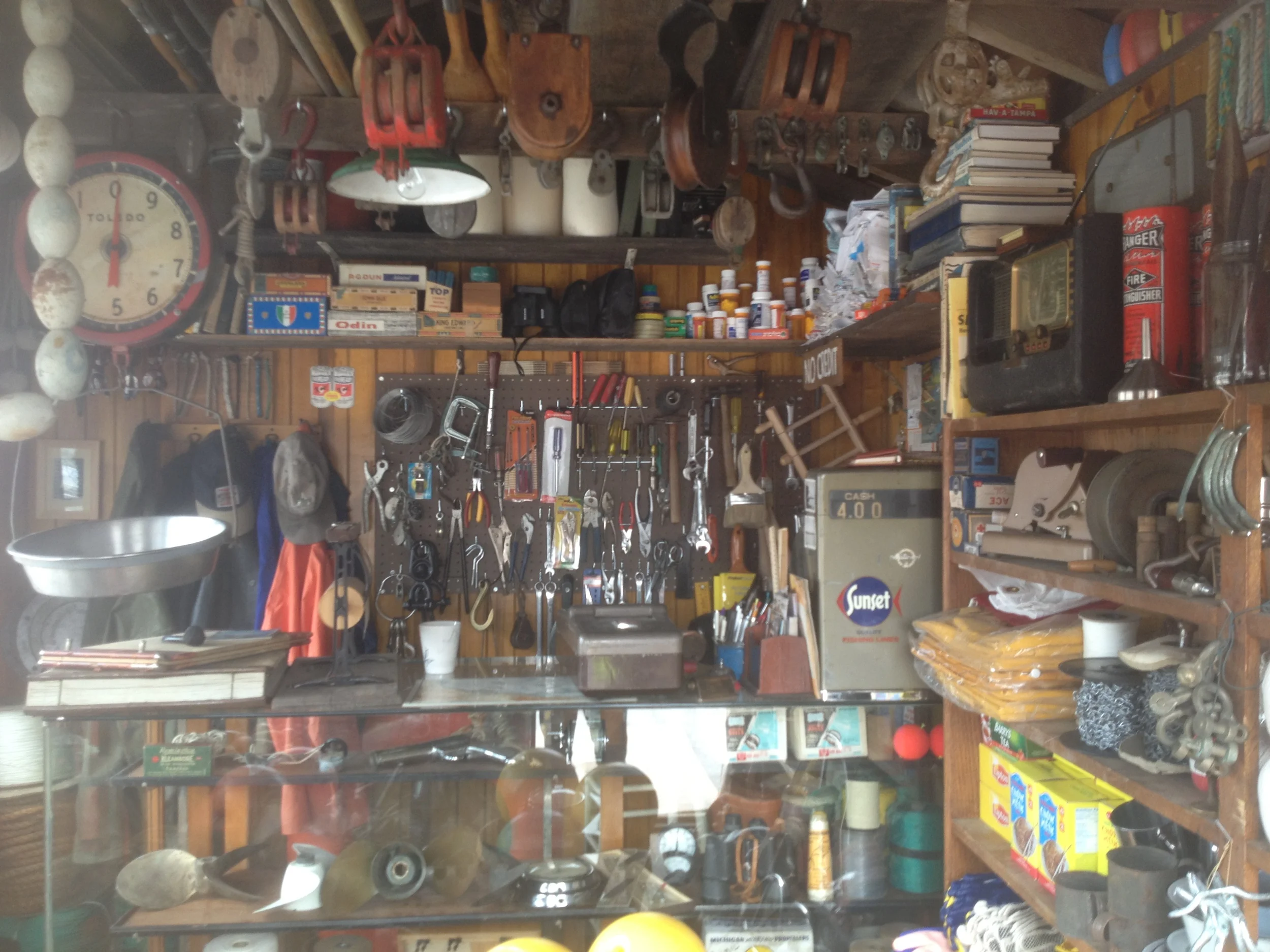 collecting artifacts for Mark Dion instalation