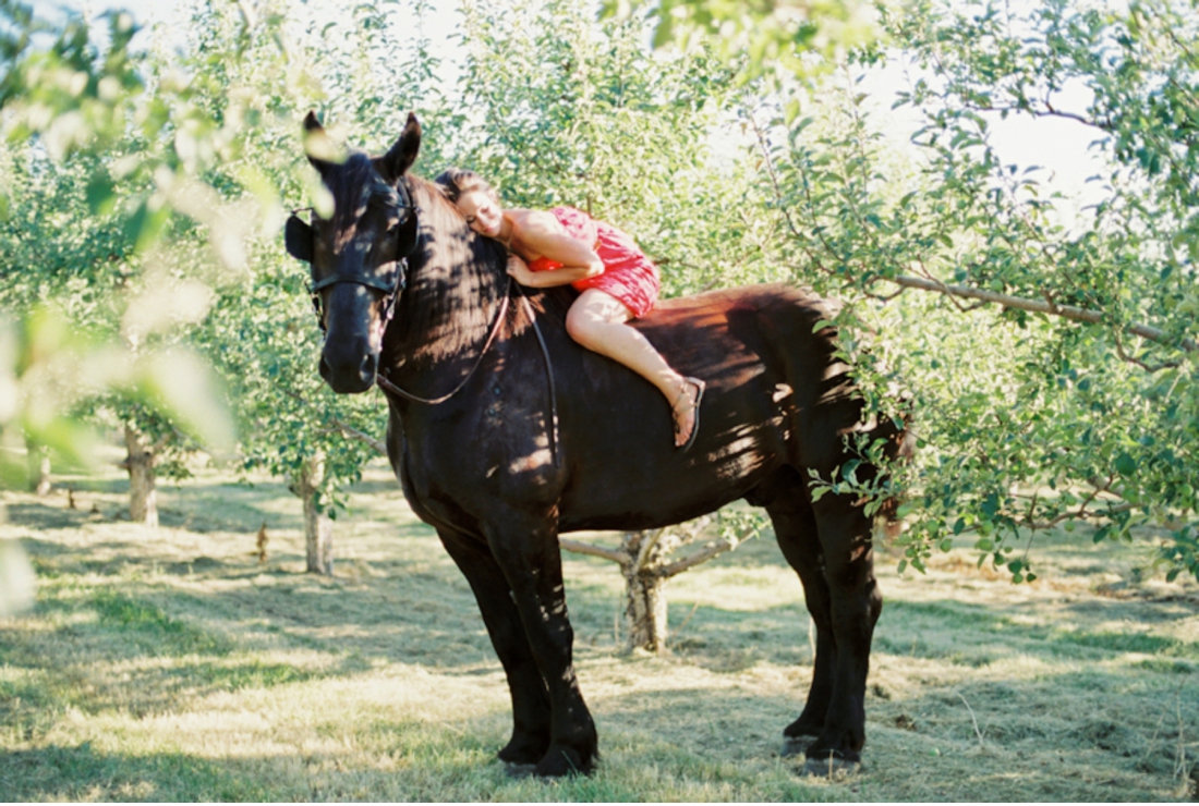 Okanagan-Horse-Photography