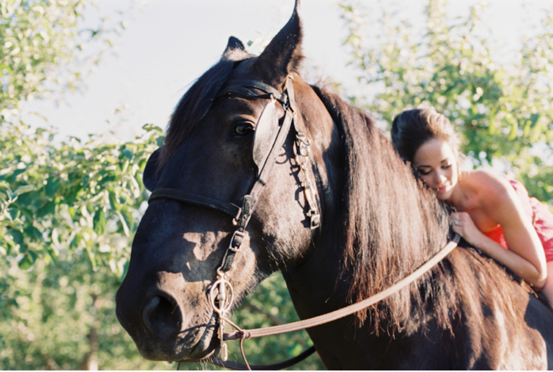 Okanagan-Equine-Photography