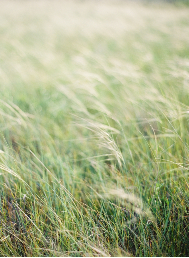 Okanagan-Wedding-Blog