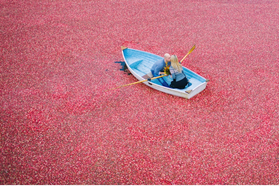 British-Columbia-Cranberry-Farm