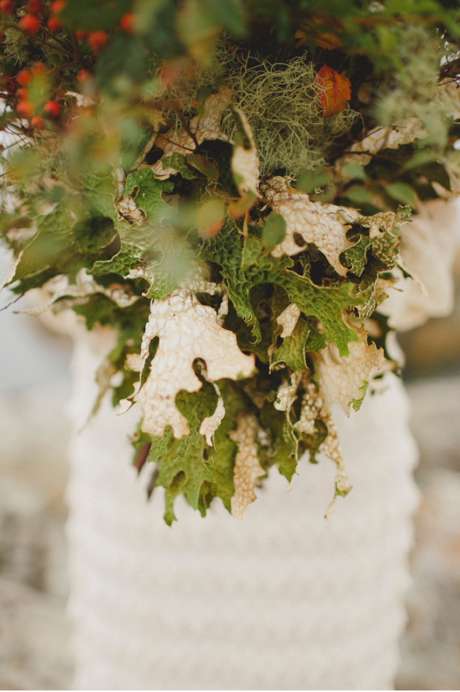 Clare Day Flowers