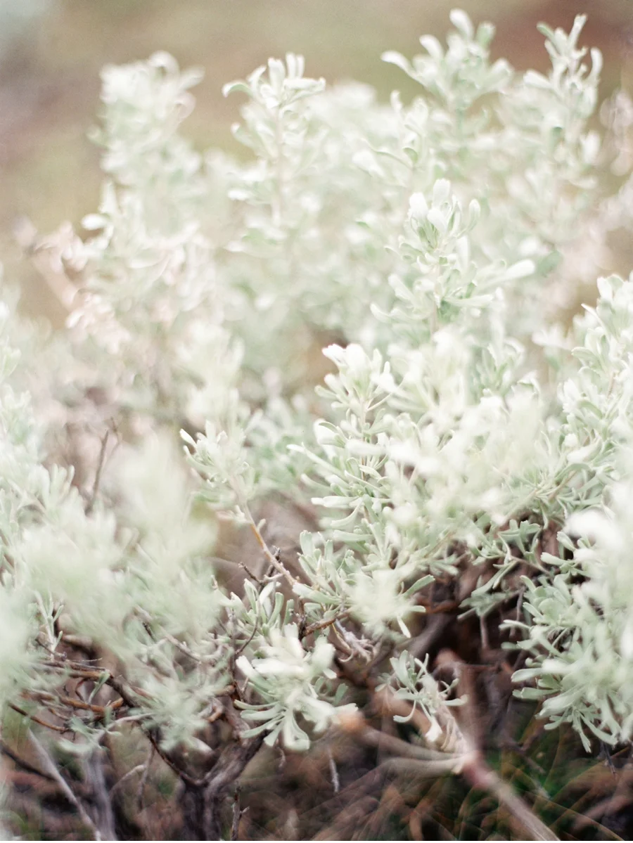 Canadian-Fine-Art-Weddings