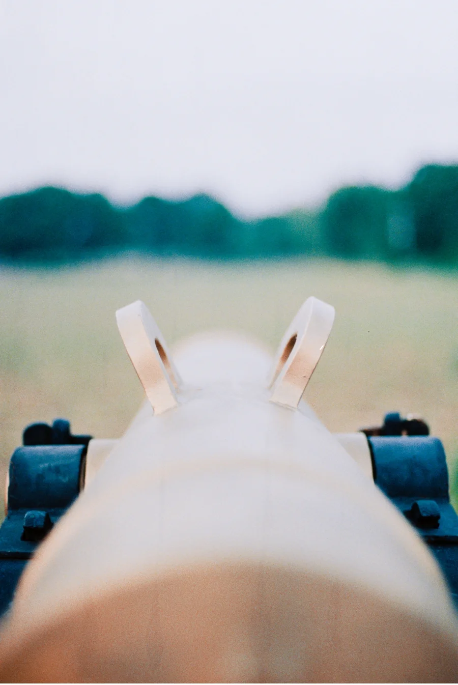 Battlefield-Engagement-Session