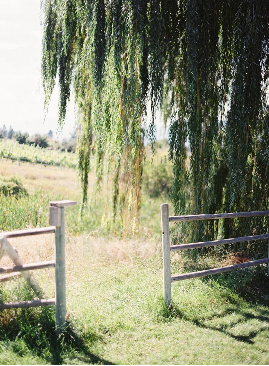 Canadian-Fine-Art-Wedding-Blog