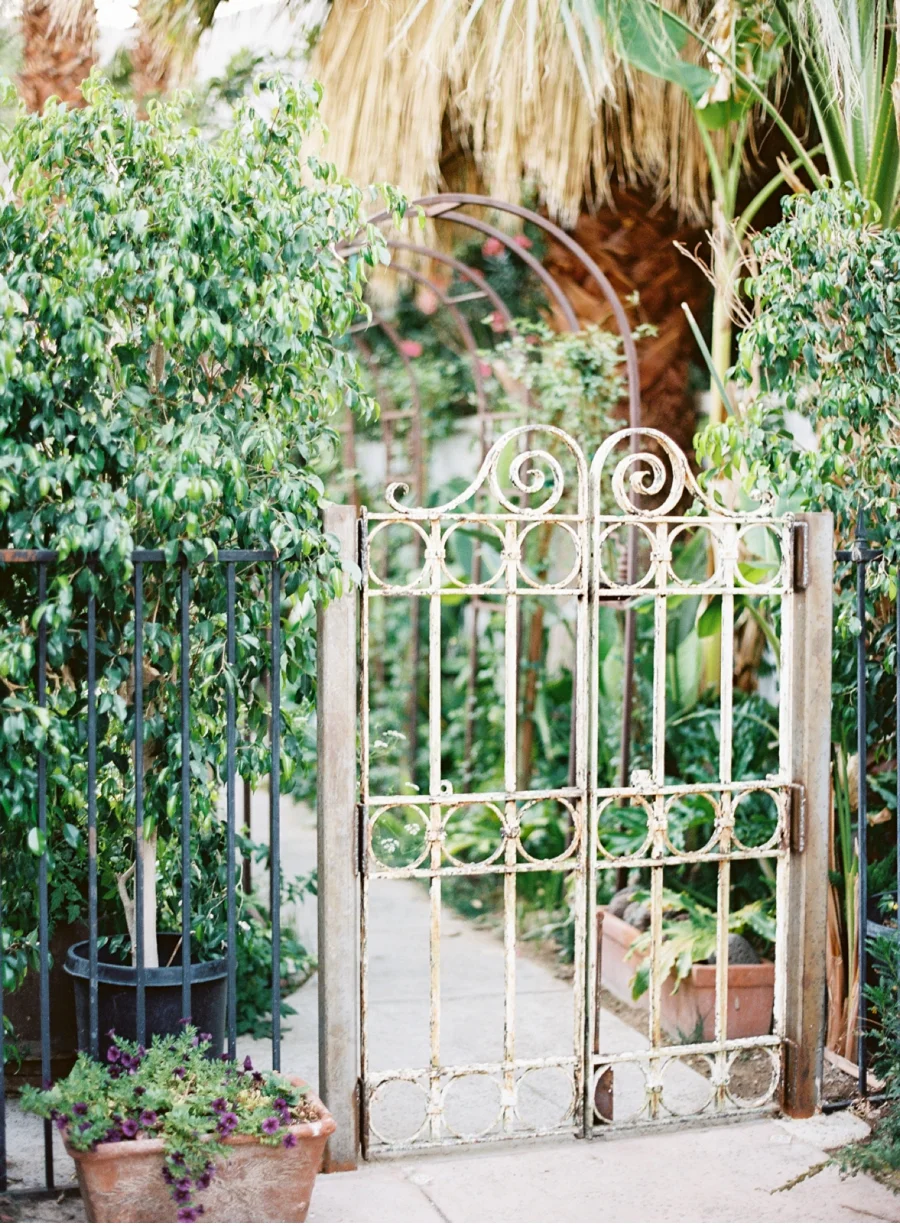 Vale-and-Vine-Wedding-Blog
