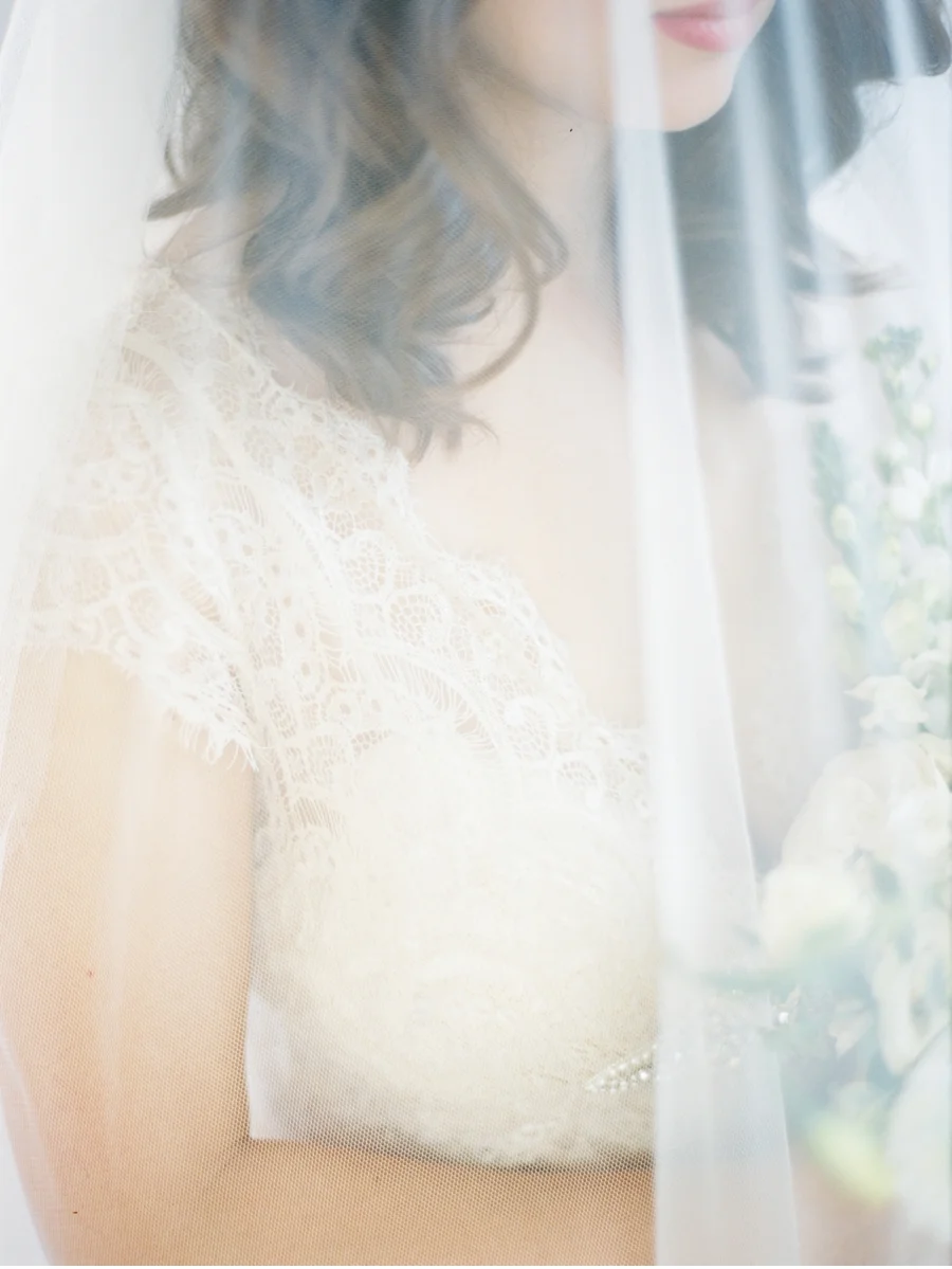 Bride-with-Pronovias-veil