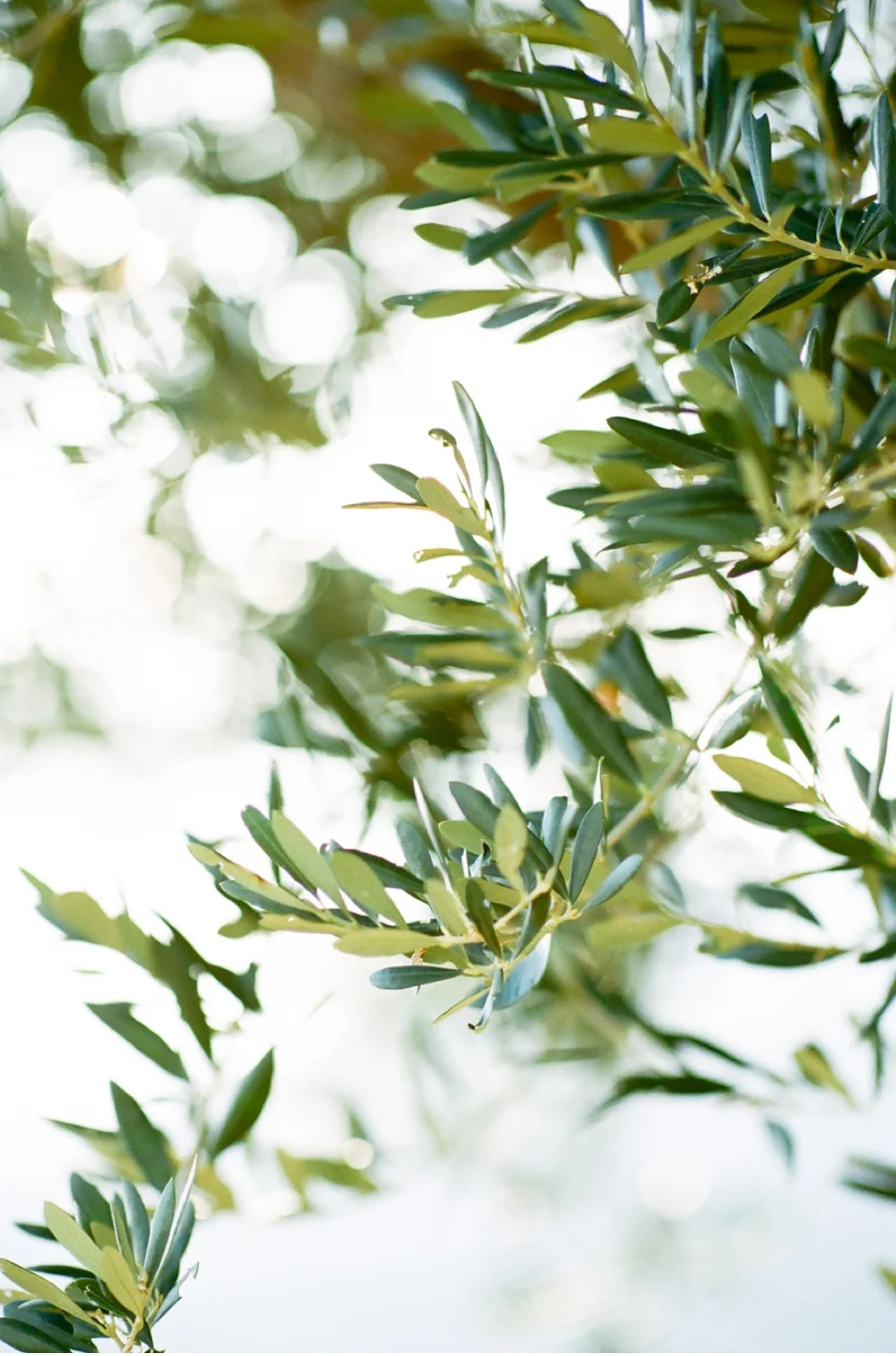 Fine-Art-Wedding-Photography-Blog