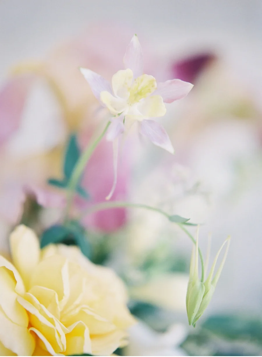 Closeup-yellow-purple-floral-arrangement