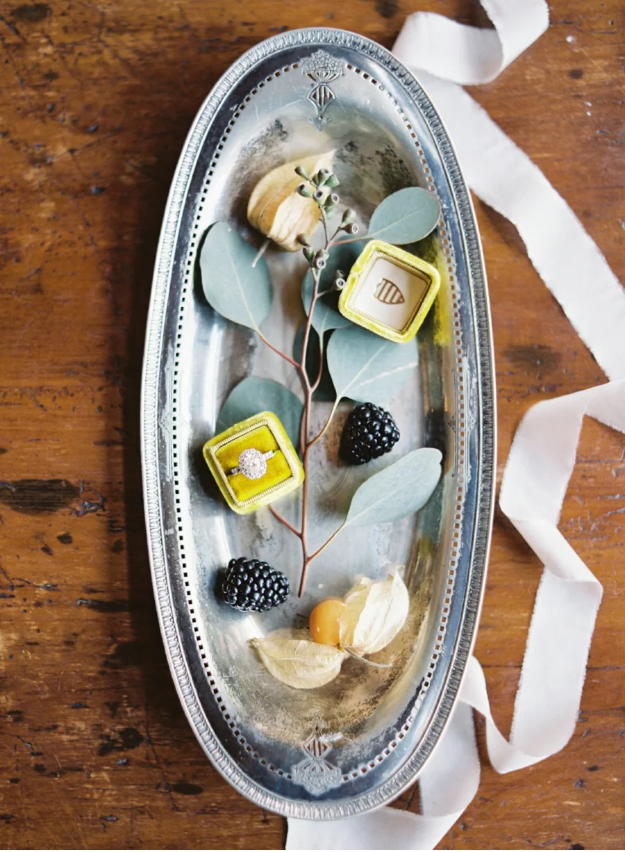 The-Mrs-Box-Still-Life