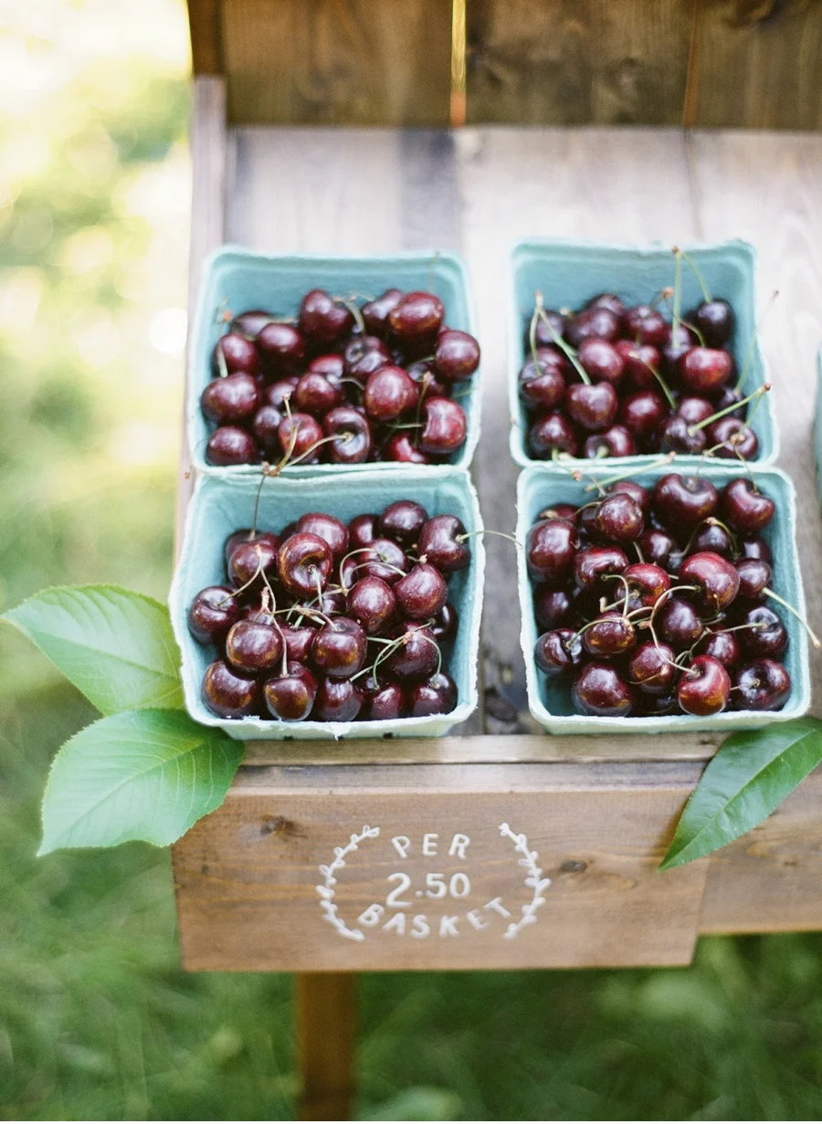 2. Delicate designs wake up this classic fruit stand for an orchard-inspired shoot photographed by Blush Wedding Photography.  View more from this post here.  Signage by Madison Heglund.  