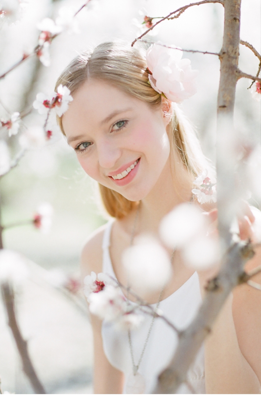 Vale-and-Vine-Blossoms