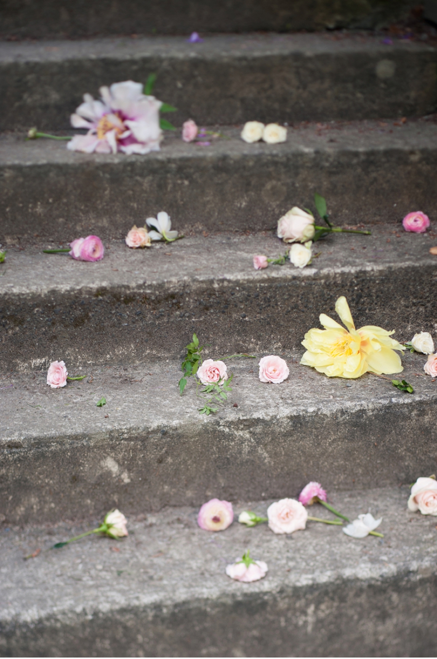 Spring-Flower-Petals-on-Stairs