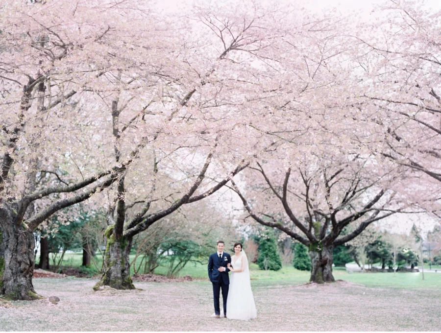 Vancouver Wedding Portraits under the Blossoms