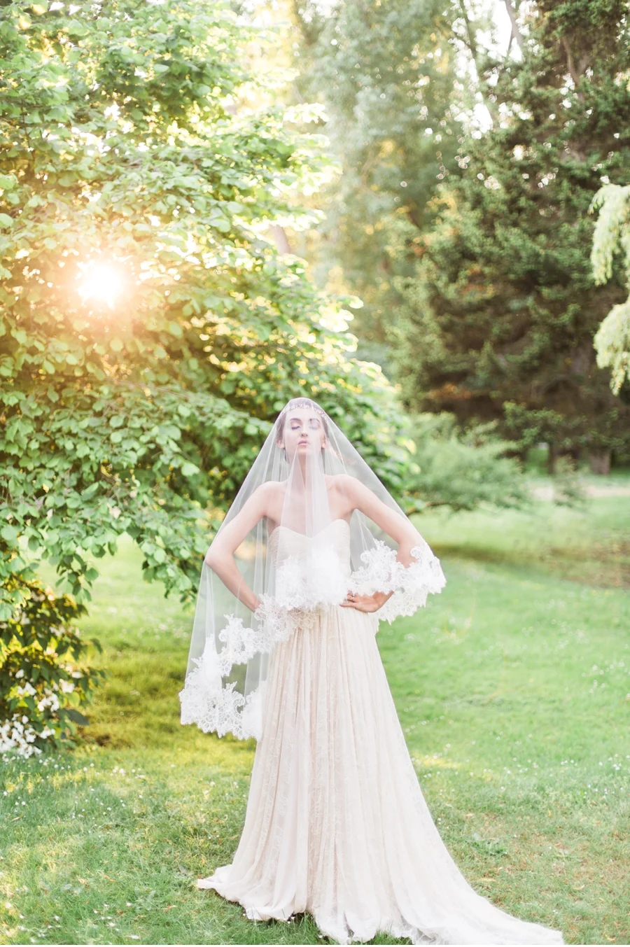 The Borrowed Collection - Veils