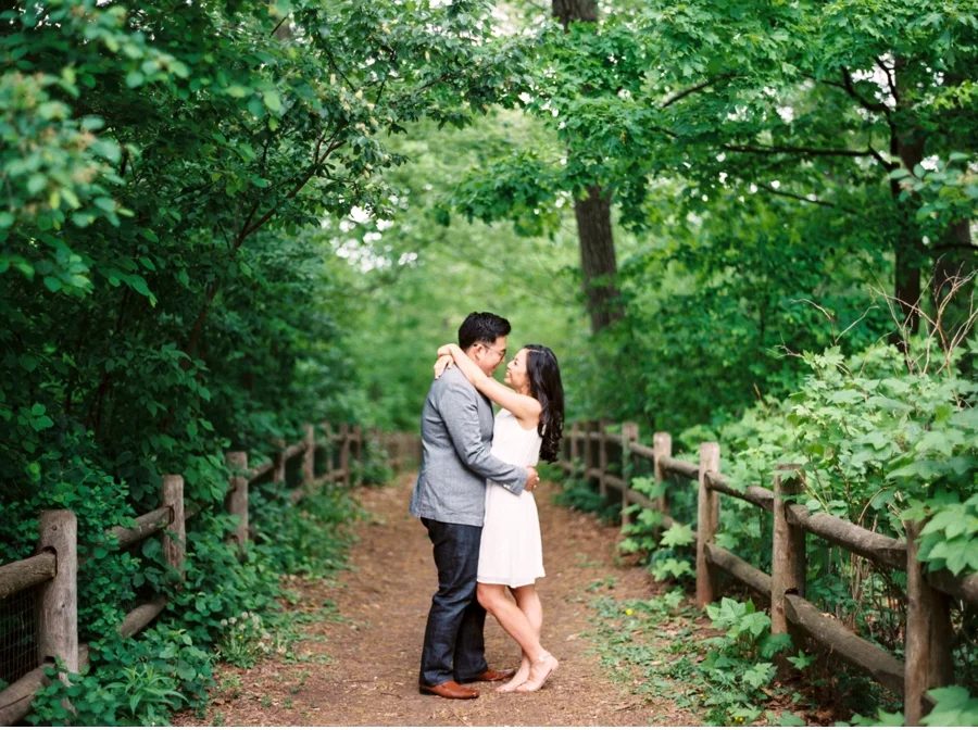 Toronto Woodland + Waterfront Engagement