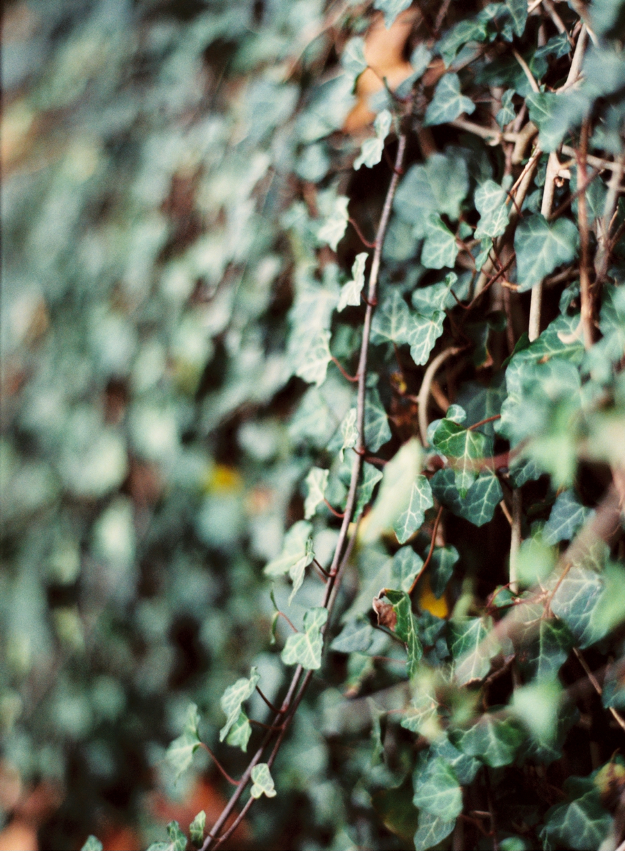 ©Cory_Weber_Photography_014.jpg