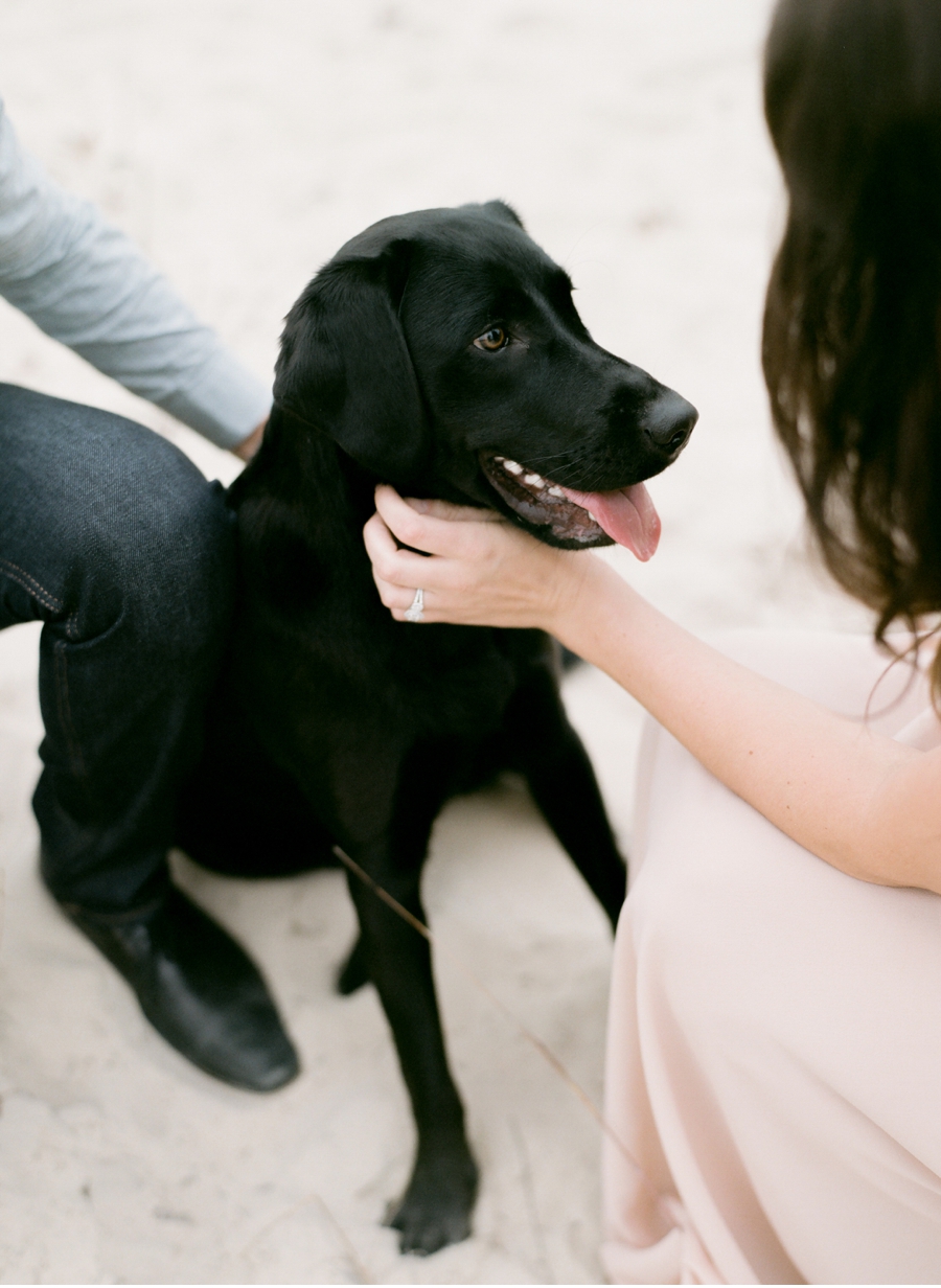 Engagement-Session-with-Dog