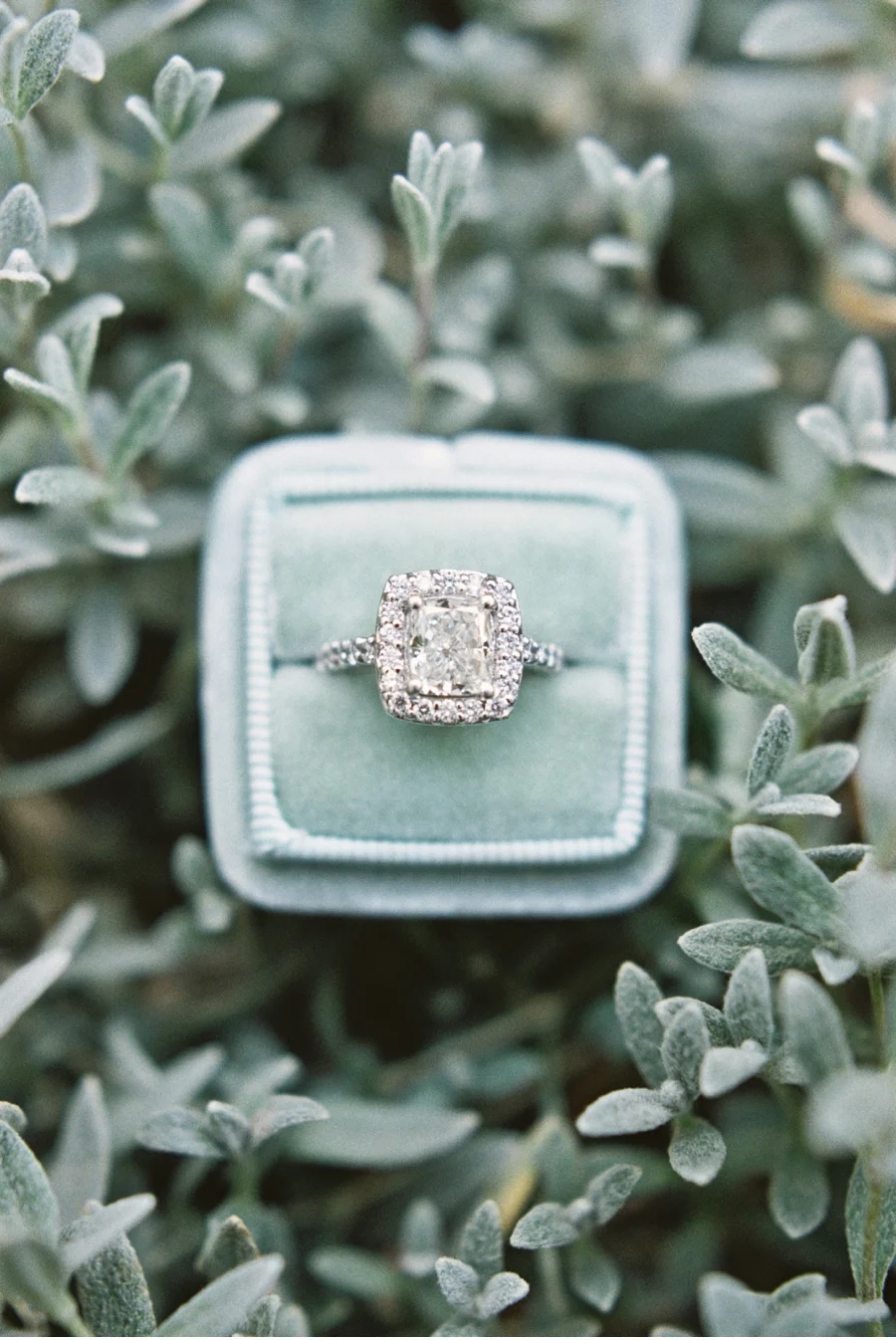 Vale + Vine | Best of Rings