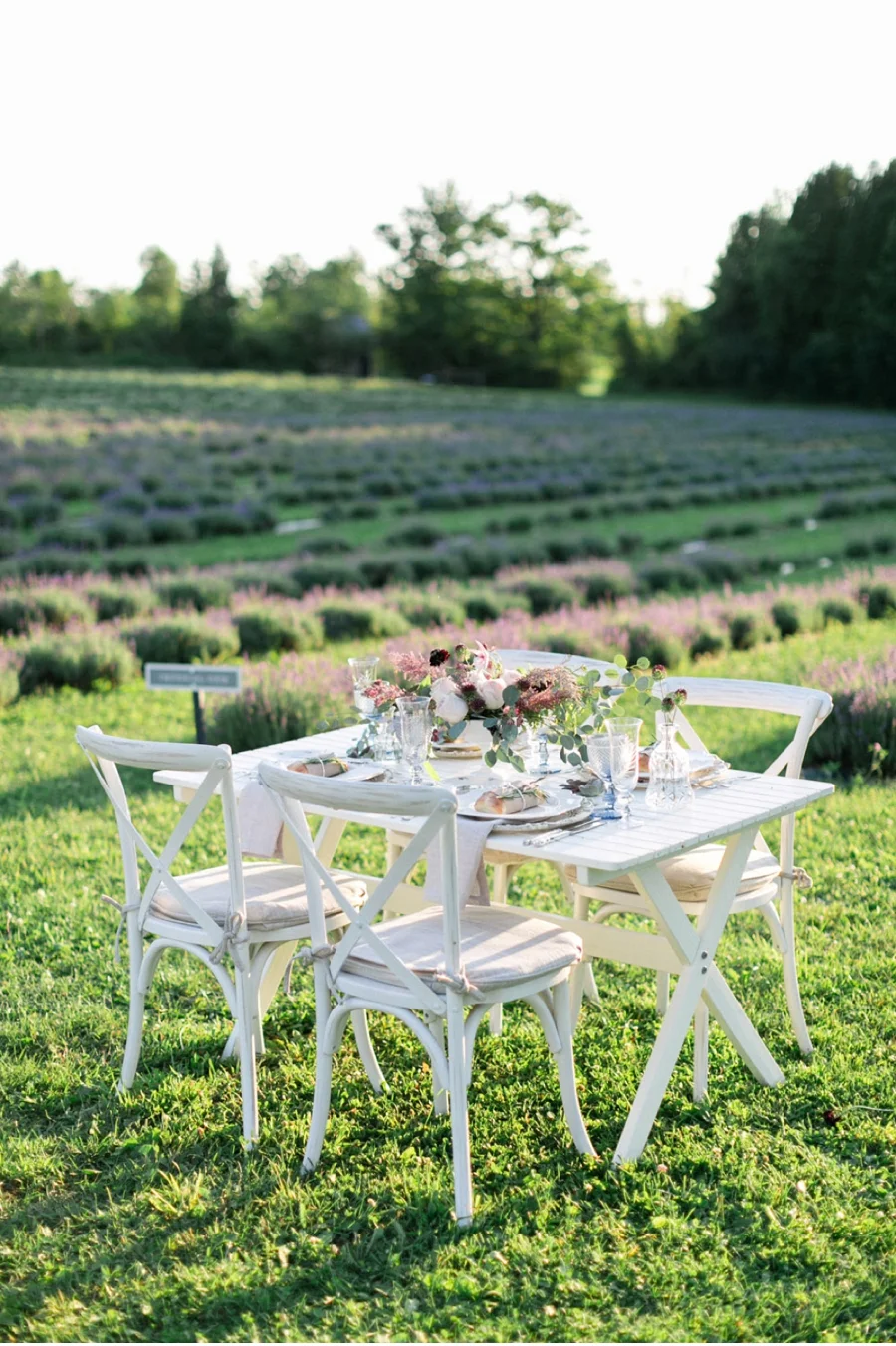 Wedding-Reception-for-Lavender-Farm