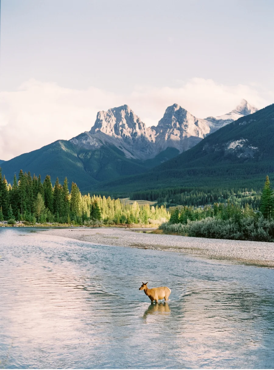 Canmore-Alberta-Wedding-Ideas