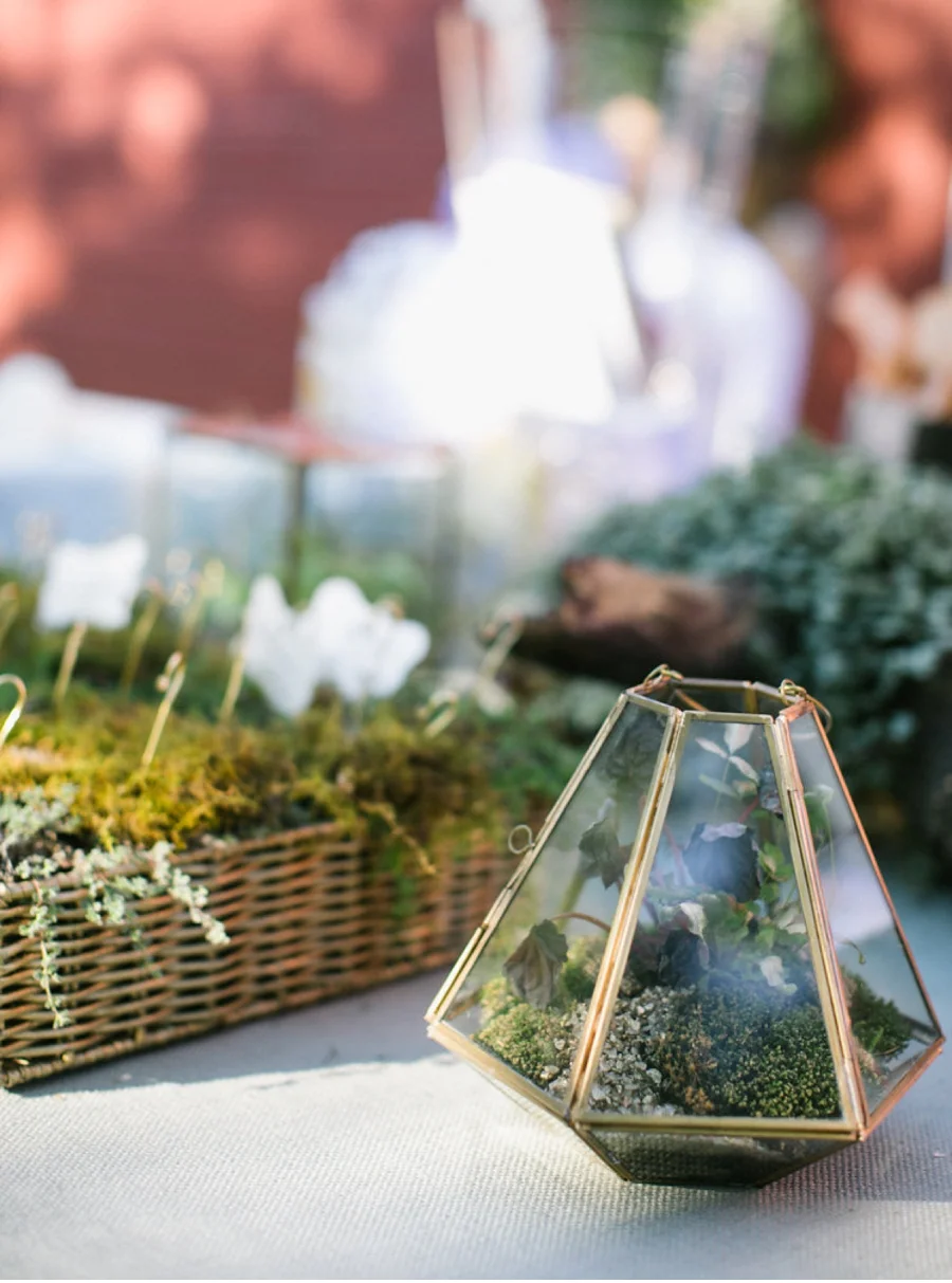 Vale-and-Vine-Wedding-Blog