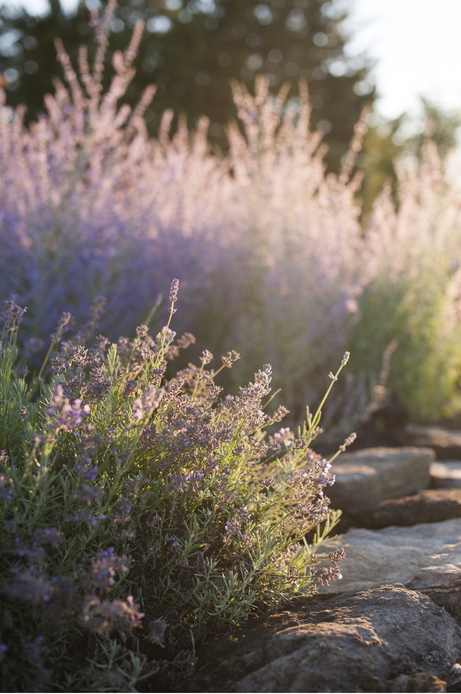Summer-Wedding-Ideas-from-Quebec