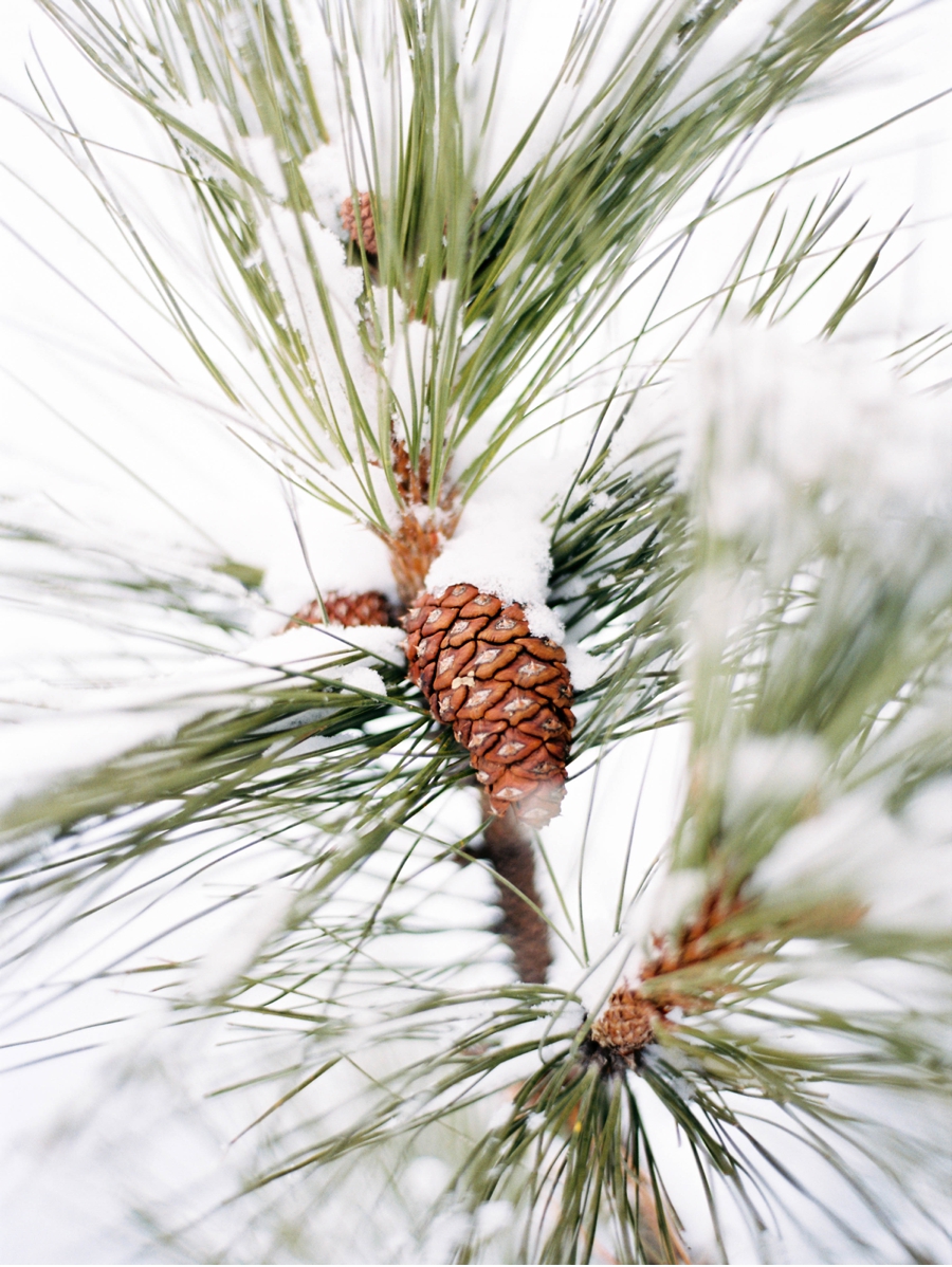 Pinecone-Detail-Winter-Wedding-British-Columbia