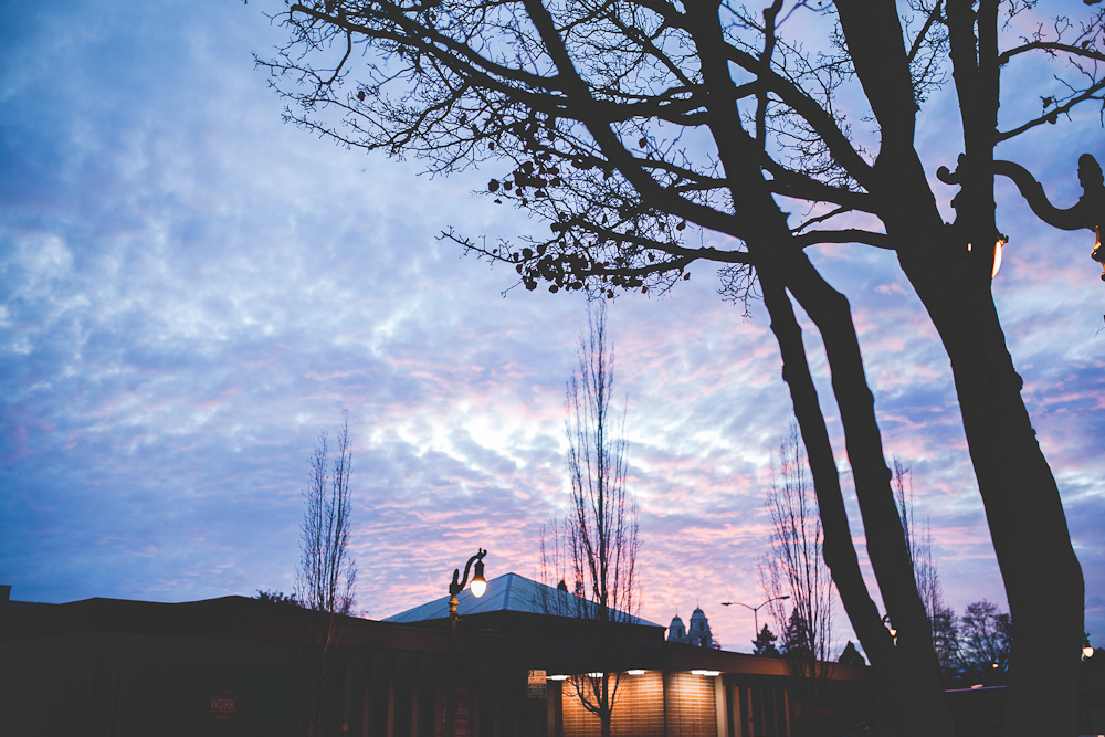 Petaluma-36.jpg