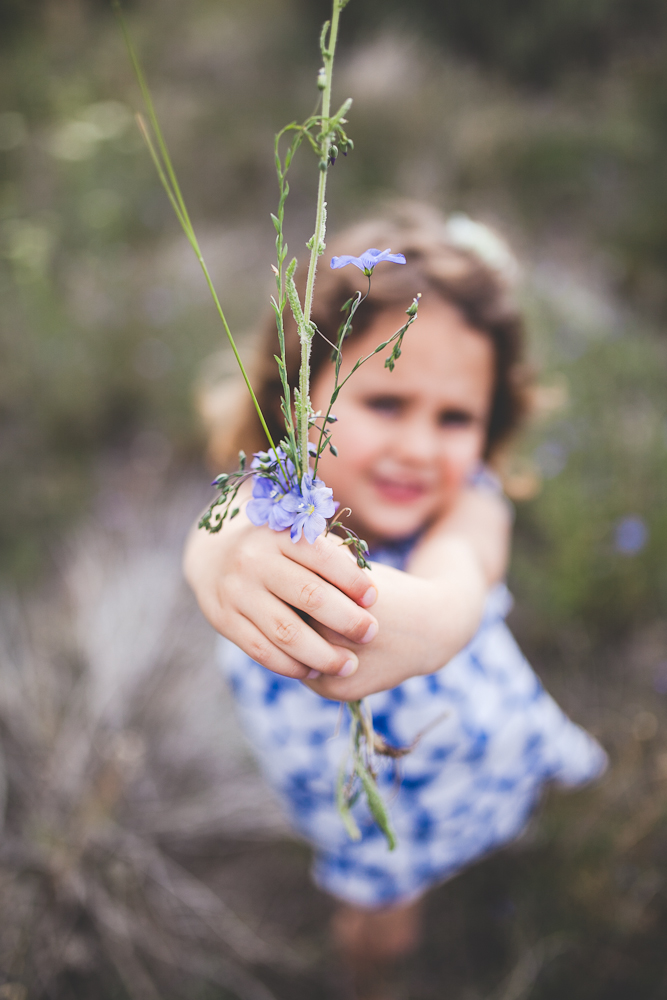 Summer Pocatello Idaho-20.jpg