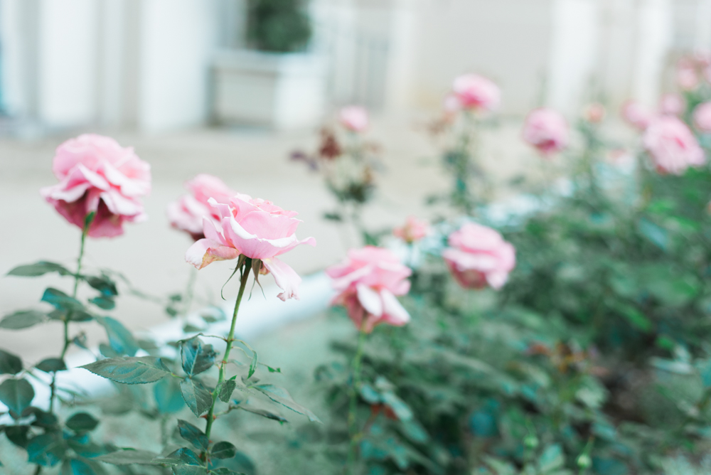 pasadena_city_hall_engagement_session_los_angeles_wedding_photography-8.jpg