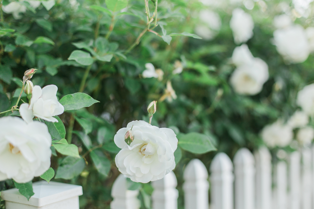 polyna&alex_wood_ranch_country_club_wedding_photography_los_angeles_wedding_photographer-4.jpg