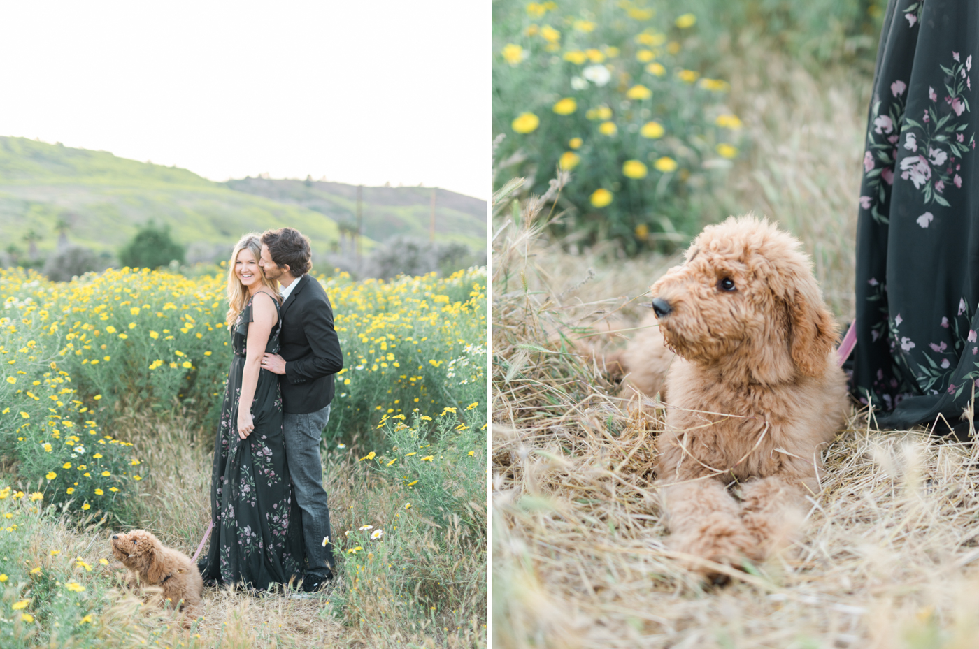 San_Juan_Capistrano_Goldendoodle_family_portrait_session_los_angeles_wedding_photographer-19.jpg