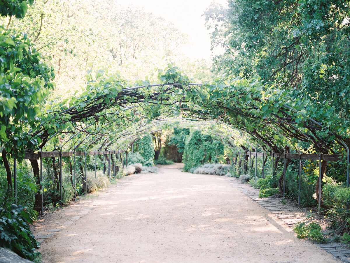 Beaulieu Garden wedding Napa Valley