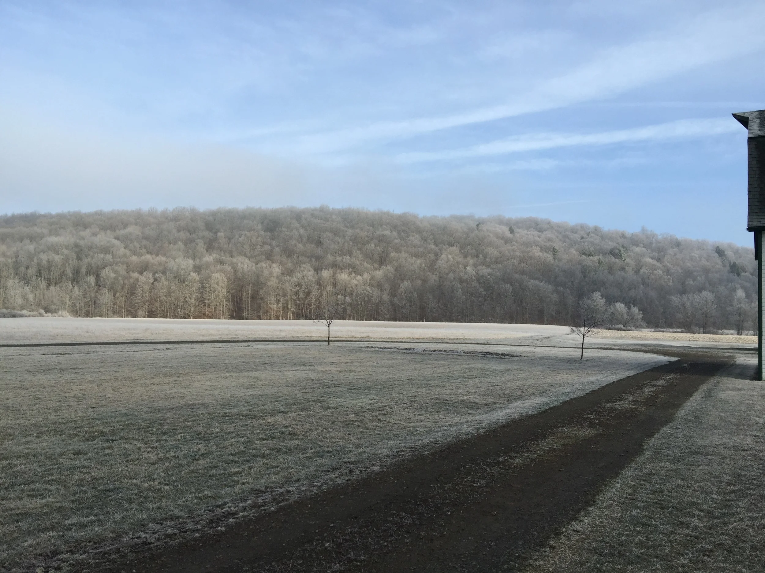 Hoarfrost 2016 (1).jpg